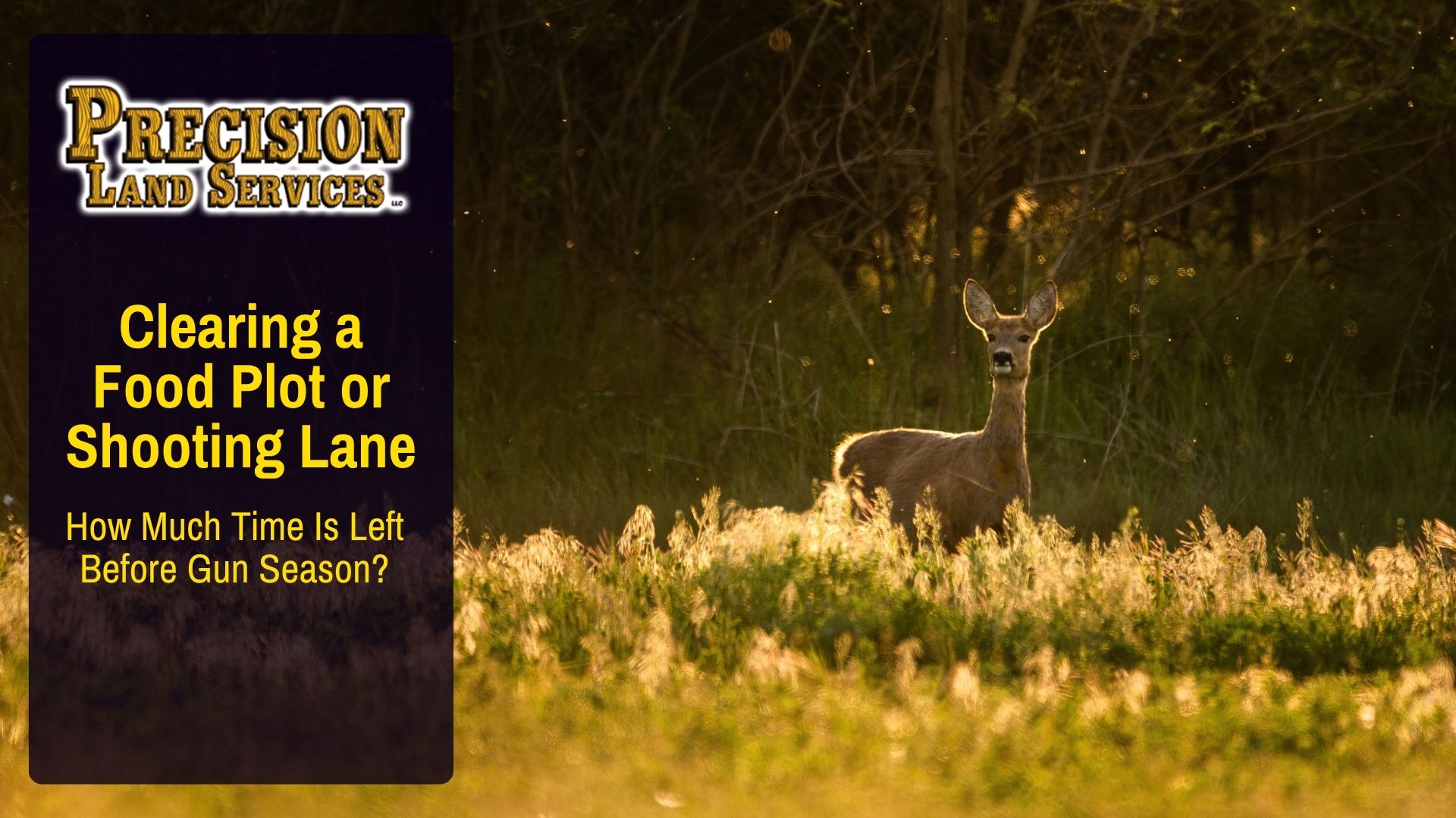How Much Time Is Left to Clear a Food Plot or Shooting Lane Before Gun Season?