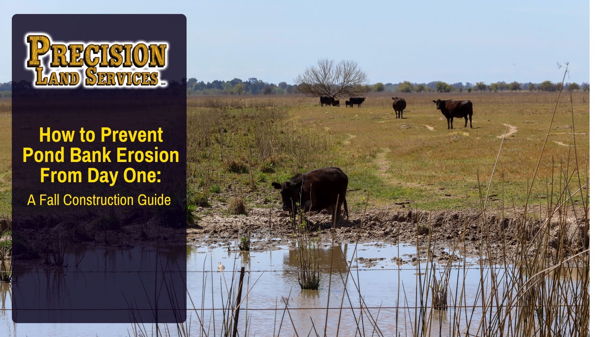 How to Prevent Pond Bank Erosion From Day One: A Fall Construction Guide
